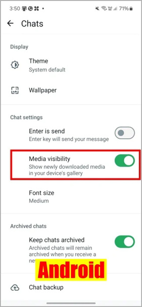 最新版whatsapp安卓版