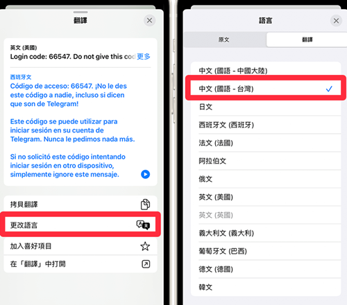 纸飞机聊天软件中文版