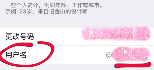 纸飞机社交