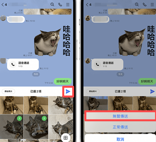 LineAPP安卓版