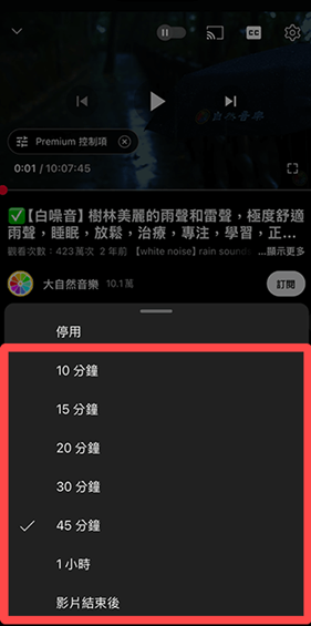 Youtube国外视频