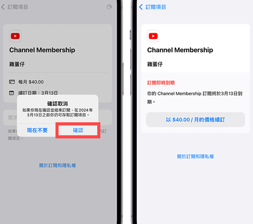YouTube国内版