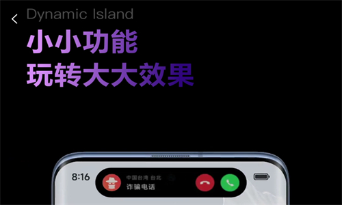 灵动鸟