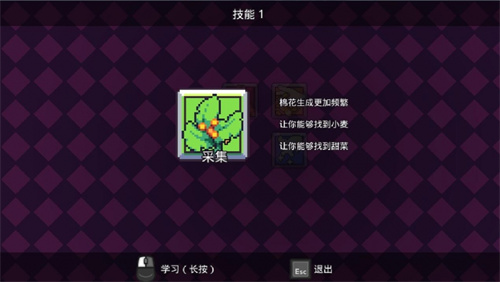 浮岛物语国际服截图4