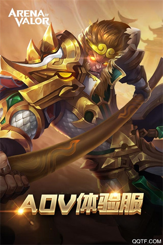 AOV先行服截图4
