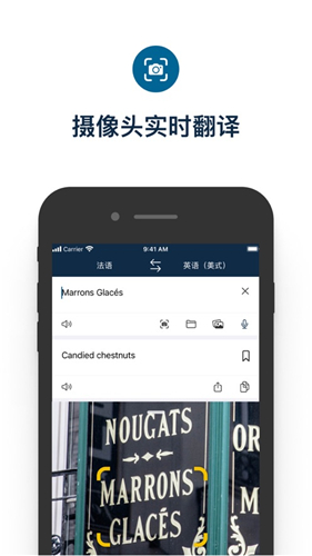 Deepl翻译截图4