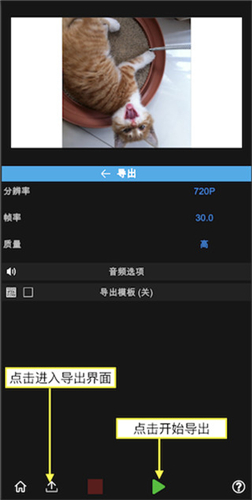 Nodevideo截图1