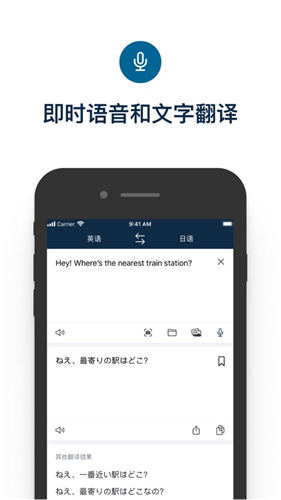 Deepl截图3