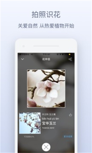 花伴侣截图1