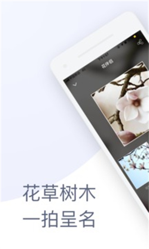 花伴侣截图2