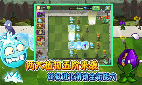 植物大战僵尸长城版最新版截图4