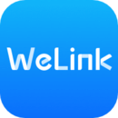Welink