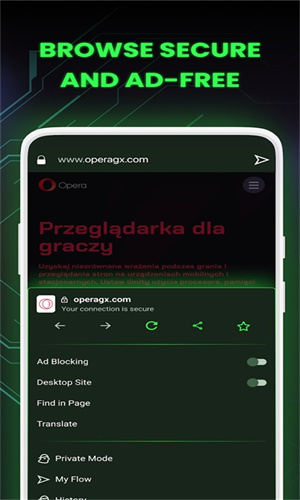 Opera gx截图3