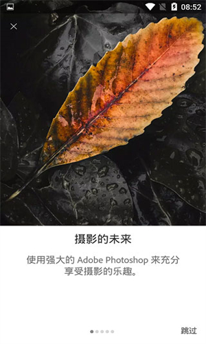 LightRoom安卓版截图3