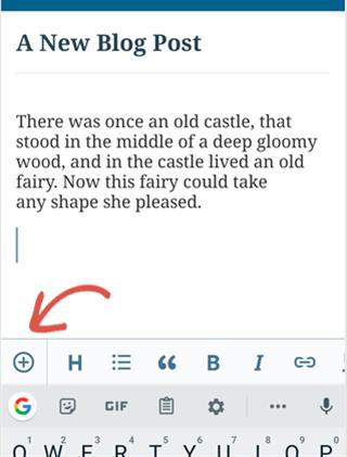 WordPress