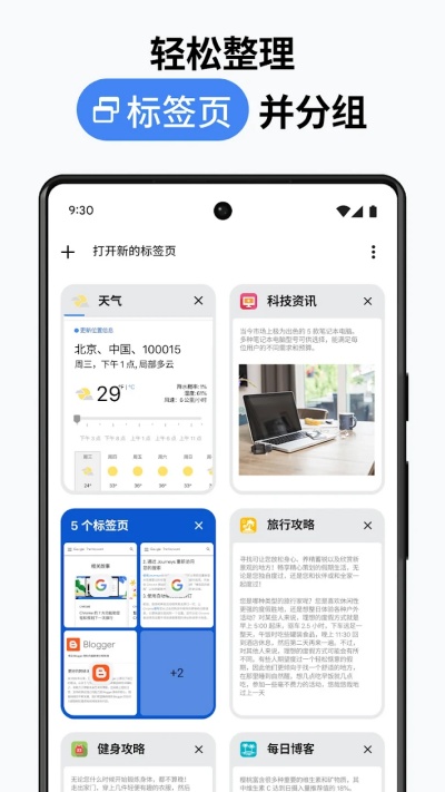 Chrome浏览器截图1