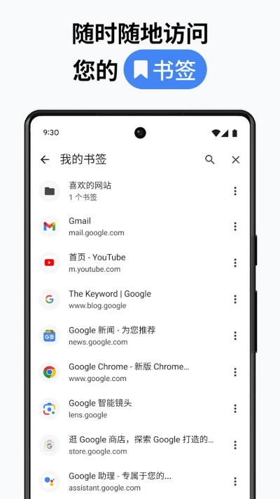 Chrome浏览器截图3