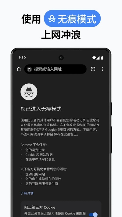 Chrome浏览器截图5