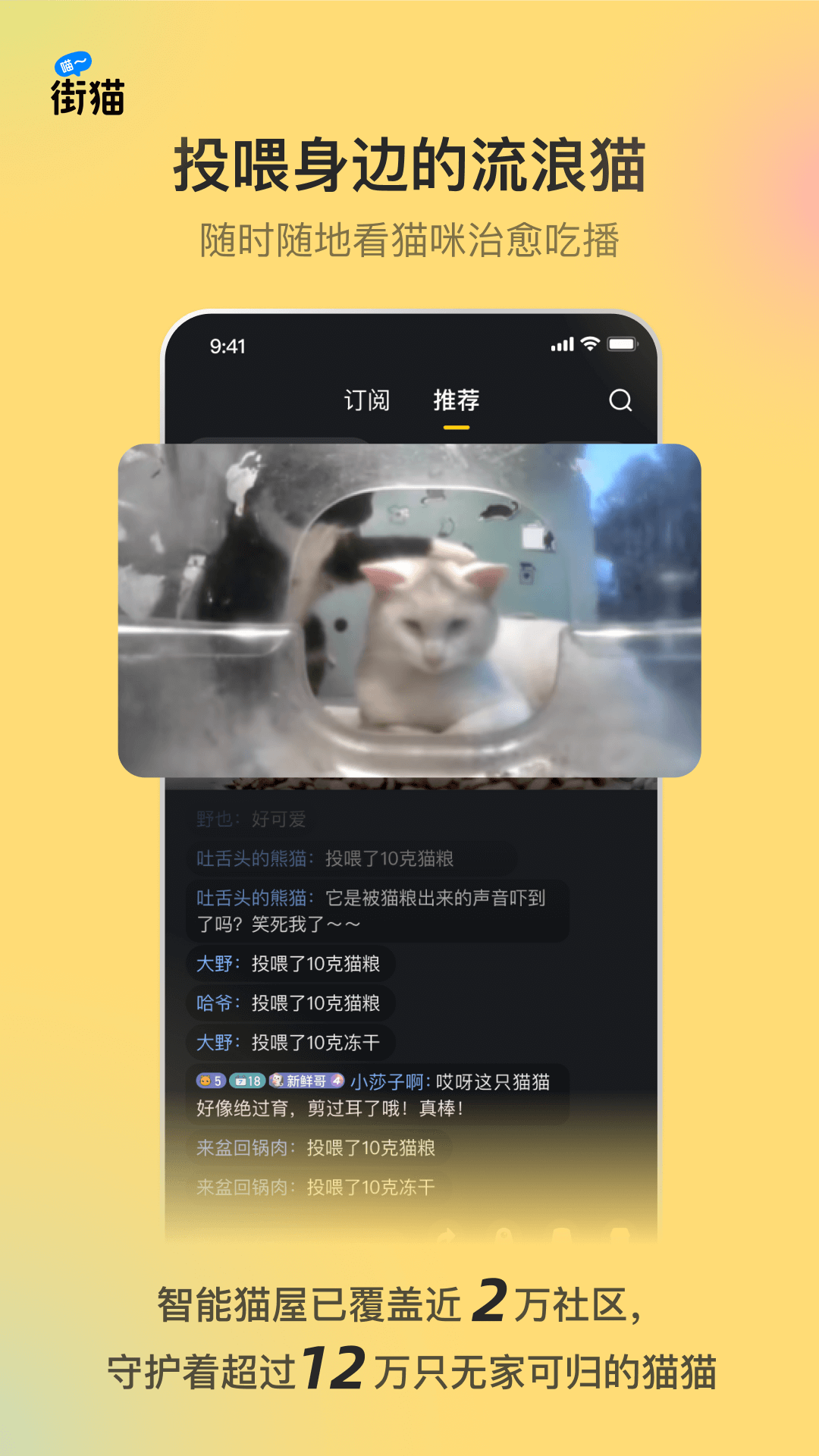 哈啰街猫截图1