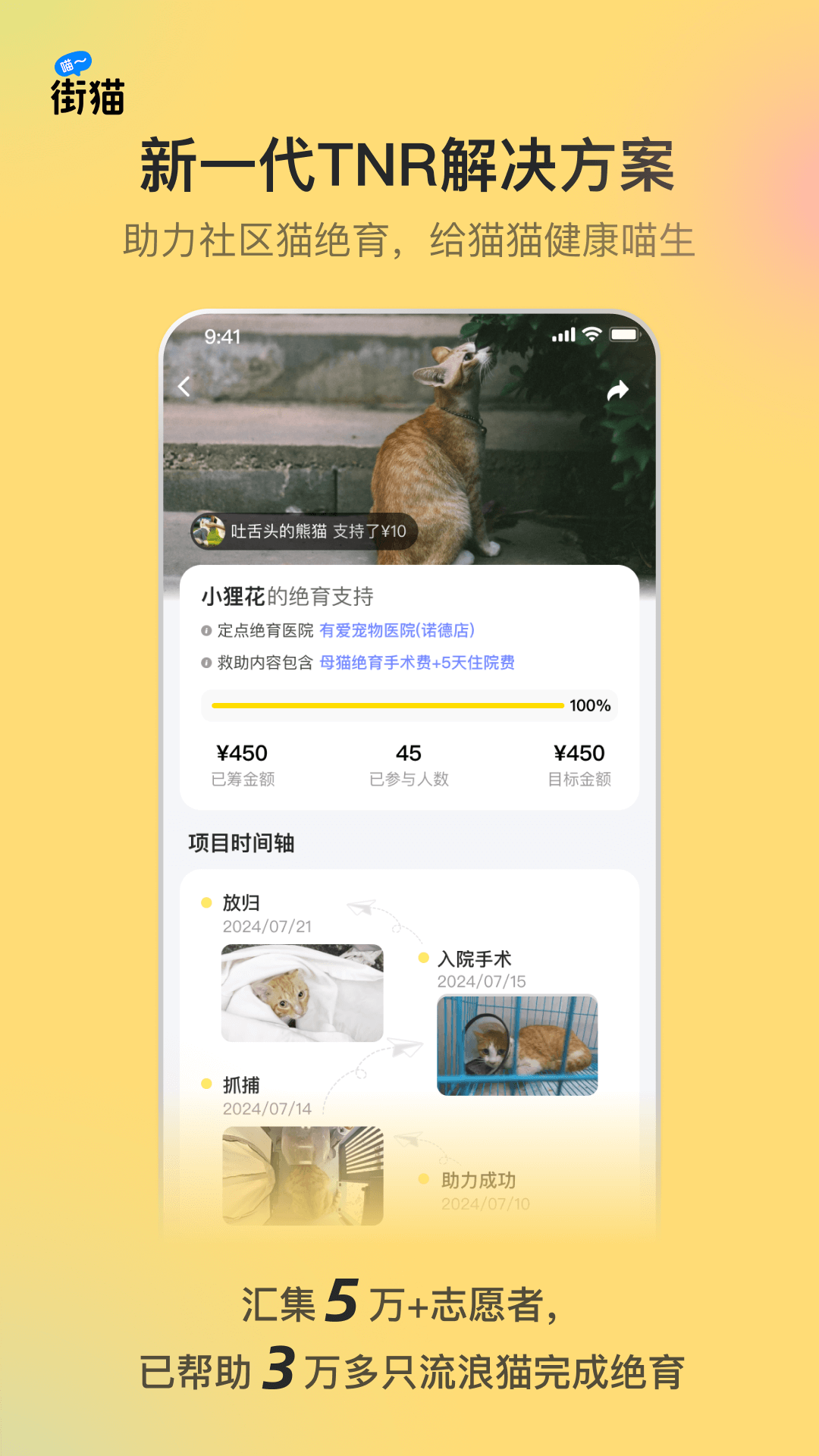 哈啰街猫截图2