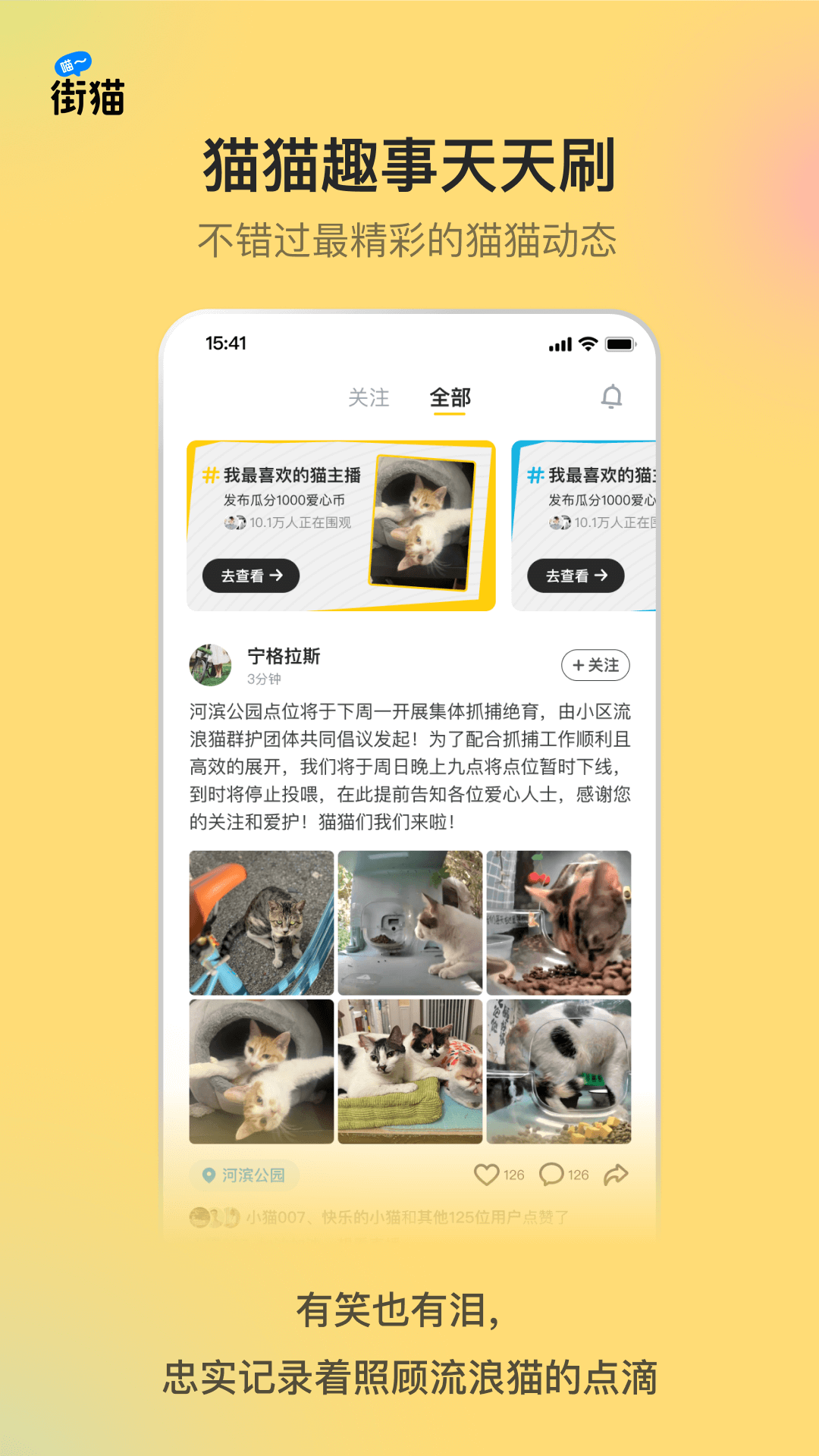哈啰街猫截图3