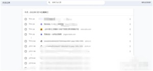 寰宇浏览器手机安卓版