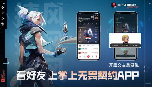 无畏契约助手